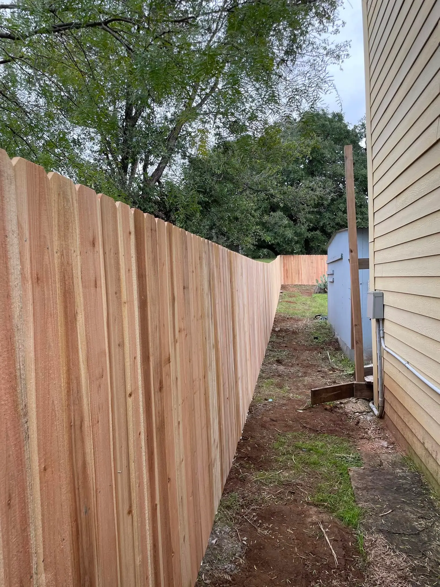 Freshly installed cedar wood privacy fencing
